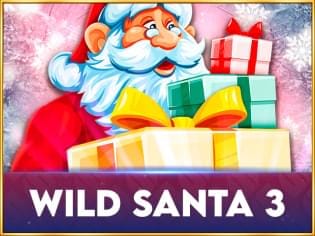 Wild Santa 3 game icon