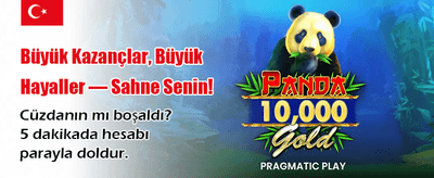 Pin Up Casino Uygulamasını İndir