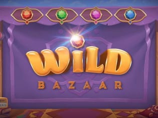 Wild Bazaar game icon